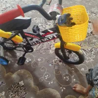 دوچرخه 12|دوچرخه، اسکیت، اسکوتر|تربت جام, کشتارگاه|دیوار