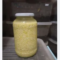پرورش‌حلزون‌شغل‌خانگی خریدحلزون وخاویار|استخدام بازاریابی و فروش|اهواز, طالقانی|دیوار