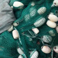 تورغلایه|ماهیگیری|بندرلنگه, |دیوار