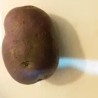 سیب زمینی زرد اردبیل