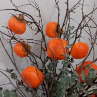 گلدان پینترسی به همراه شاخه خرمالو وارداتی|صنایع دستی و سایر لوازم تزئینی|تهران, نیروی هوایی (پیروزی)|دیوار