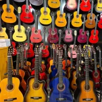 گیتار حرفه ای&مهلا/
