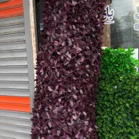 چمن مصنوعی وگرین وال مخصوص فضای لوکس شما