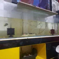 اکواریوم بزرگ