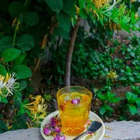 خط دائمی رند کد 1 مشهد