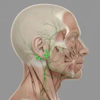 آموزش فیشال و اسکراب اسکالپ