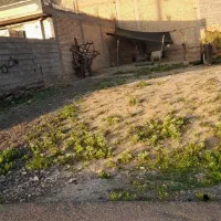 فروش-زمین