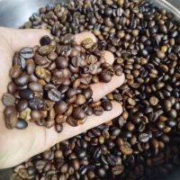 دان قهوه|عمدهفروشی|قرچک, مهدیه|دیوار