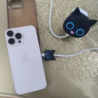 آیفون ۱۶ پرومکس