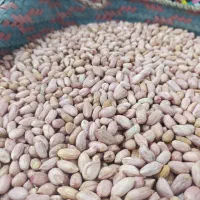 بادام،کره بادام،آجیل و خشکبار، برنج|عمدهفروشی|آستانه اشرفیه, |دیوار