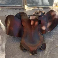 زین اسب|اسب و تجهیزات اسبسواری|بوکان, |دیوار