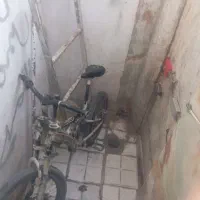 دوچرخه 20
