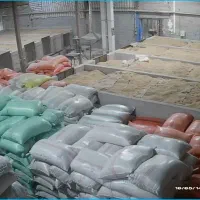 فروش عمده و خرده انواع برنج ایرانی از شالیکوبی|خوردنی و آشامیدنی|بابکان, |دیوار