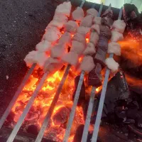 وسایل کامل غذا خوری