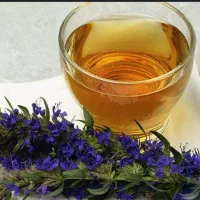 آموزش رایگان و آنلاین طب سنتی ،بانوان