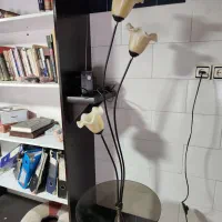 آباژور ایستاده