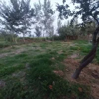 زمین مسکونی ۲۹۸ متر لشت نشا متری ۲۷۰۰|اجارهٔ آپارتمان|رشت, سعدی (تختی)|دیوار