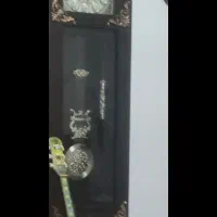 ساعت ایستاده