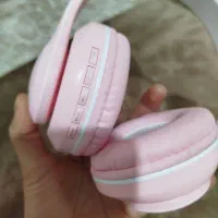 هدفن خرگوشی