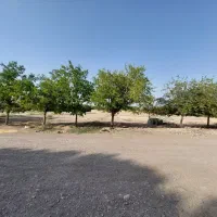 ۱۰۰۰ متر زمین غیر بافت بَر خیابان دام‌پرور فوری