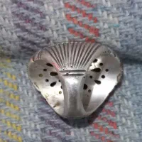 دوعددرکاب انگشتربه فروش میرسددوقاب ۵۰قرن قدمت کارا