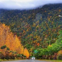راننده پایه 1 برای تک کمپرسی