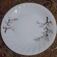 میوه خوری چینی|ظروف سرو و پذیرایی|قم, باغ اشرافی|دیوار