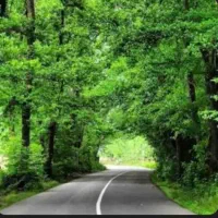 250متر-زمین-مسکونی-صفرابسته-جای-دنج