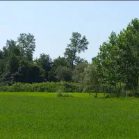 زمین مسکونی با سند ساحلی ۲۱۷متر