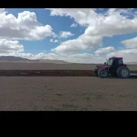 اجاره زمین کشاورزی در بویین زهرا