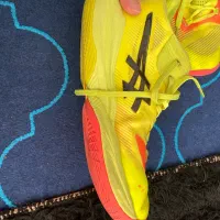 کتونی|کیف، کفش، کمربند|رامسر, |دیوار