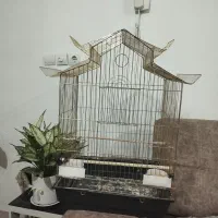قفس تمیز وشیک