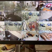 برق کار صنعتی/ کاسه چراغ /روشنایی سوله /سینی کشی /|خدمات پیشه و مهارت|پاکدشت, پاکدشت (مامازند)|دیوار