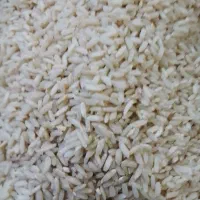 برنج عنبربوباکیفیت عالی|خوردنی و آشامیدنی|سیروان, |دیوار