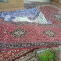 ۲تاپرده حریری بنفش۳متری چندتاروبالشی نو وفرش ۳متری