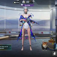 اکانت پابجی