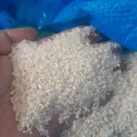 برنج عنبربو شوشتر (بازدید دره شهر)