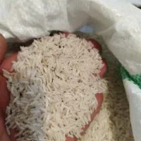 برنج طارم هاشمی مازندران|خوردنی و آشامیدنی|قم, شهرک فاطمیه|دیوار
