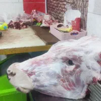 کله پاچه چربی جگر|خوردنی و آشامیدنی|بجنورد, |دیوار