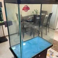 اکوارییوم|ماهی|تهران, اسفندیاری|دیوار