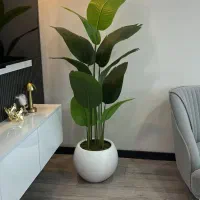 فروش انواع درختچه به قیمت عمده|گل مصنوعی|ساری, |دیوار