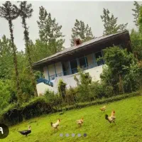ویلا. کلبه جنگلی دوخوابه با تراس بزرگ و وئویی عالی