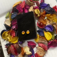 گوشواره رزینی