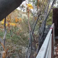 سویت نقلی لب آب باغبهادران.فوری.فوری.