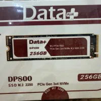SSD M2 Data+ DP800. 256 G