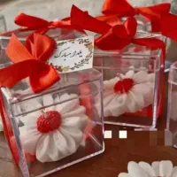 باکس گل و گیفت|گل مصنوعی|ری, فیروزآبادی|دیوار