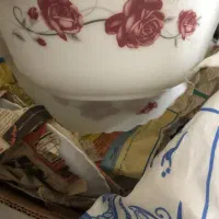 ارکوپال پارس اوپال|ظروف سرو و پذیرایی|کرج, عظیمیه|دیوار