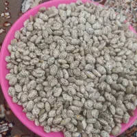 فروش جزیی و عمده