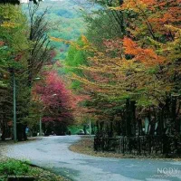 طبیعت گردی