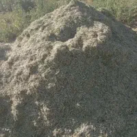 خریدار کاه لوبیا
